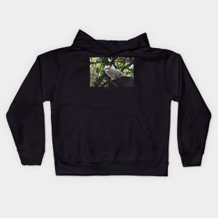 Arctic Fox Kids Hoodie